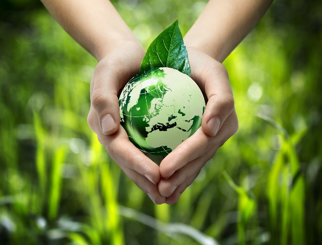 ����� | �ٷ���վ