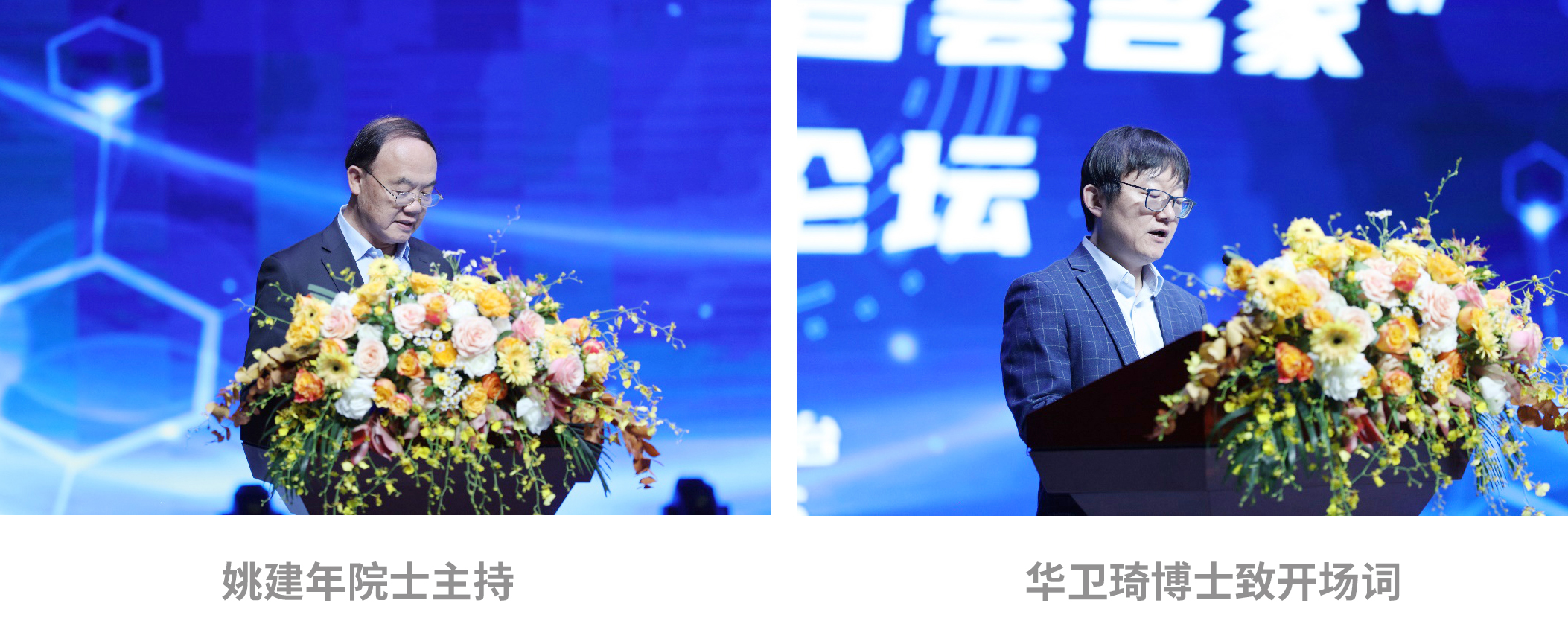 ����� | �ٷ���վ