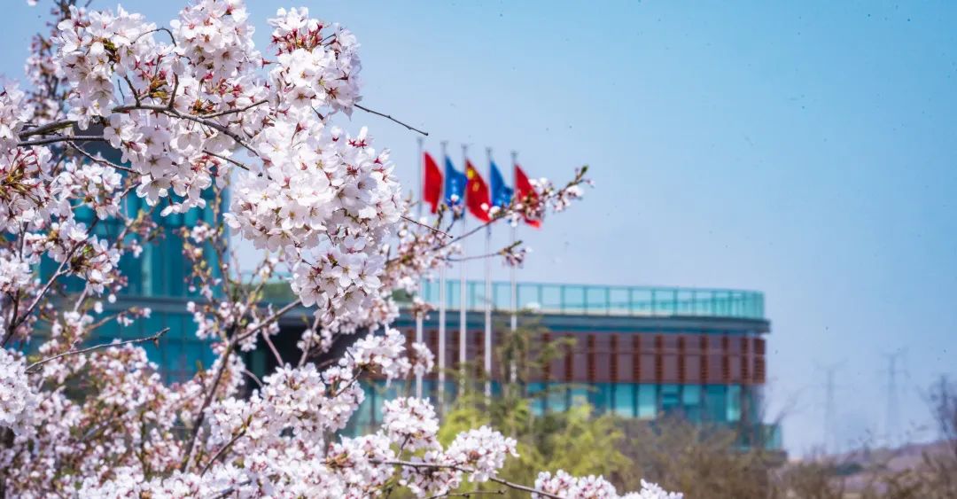 ����� | �ٷ���վ