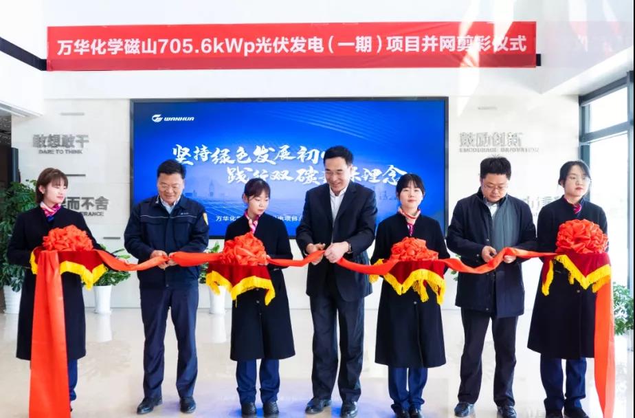 ����� | �ٷ���վ