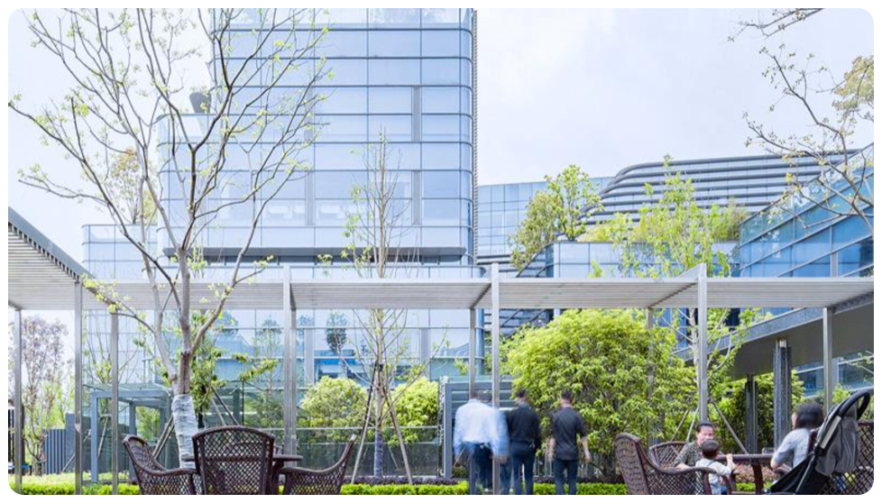 ����� | �ٷ���վ